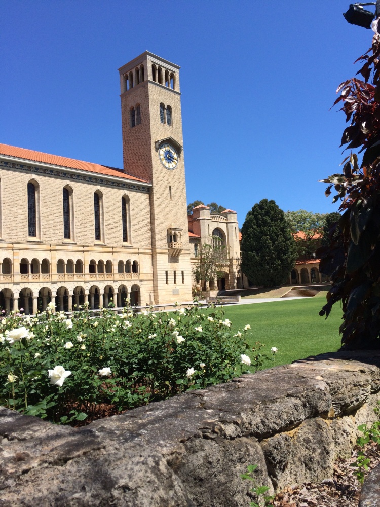 Winthrop Hall and roses
